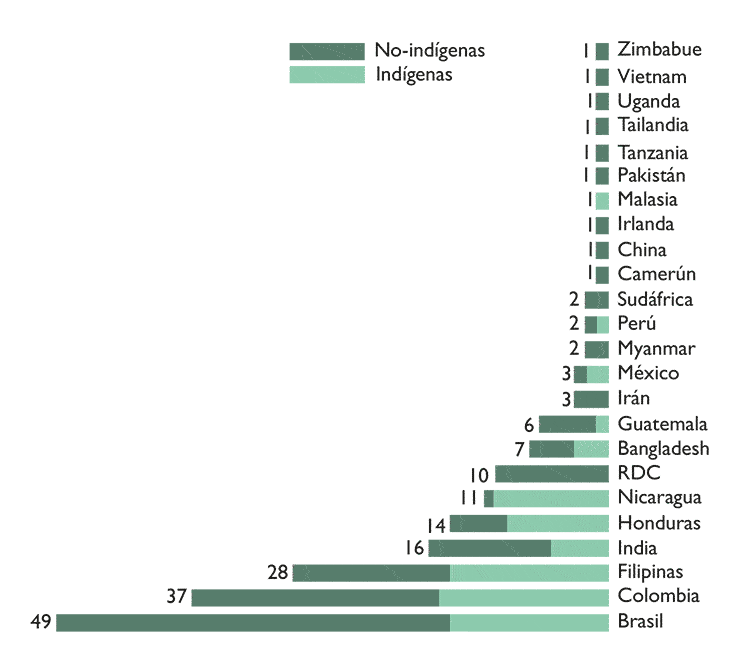 Grafico p6