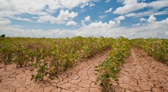 agricultura y cambio climatico