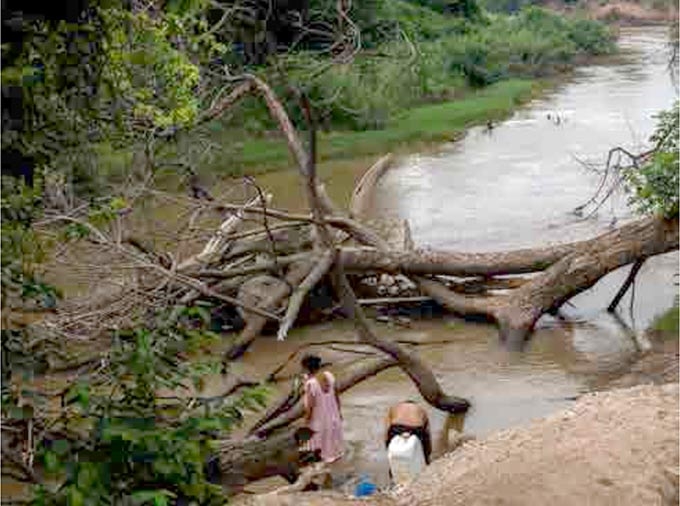 Desbarrancamiento de árboles en el río Ranchería, Ynske Boersma
