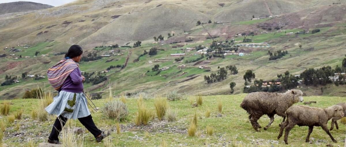 Las mujeres indígenas andinas y amazónicas de Perú promueven una economía basada en la distribución y en los saberes ancestrales que giran en torno a la ecología, el medioambiente y la cultura, lo que les permite vivir en armonía con la naturaleza. Ahora trabajan para visibilizar y que se reconozca su aportación en la lucha mundial contra el cambio climático. (ONAMIAP)