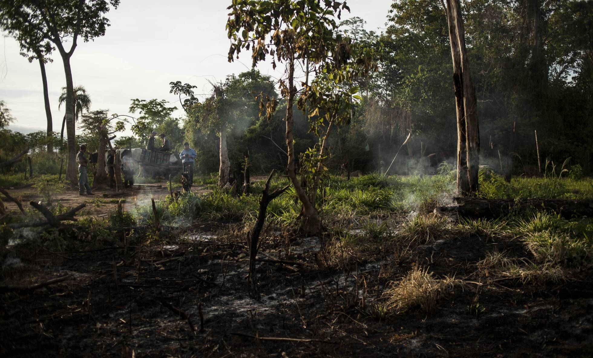 Terrenos destruidos de la comunidad campesina Guayaqui Cua, en Paraguay. SANTI CARNERI