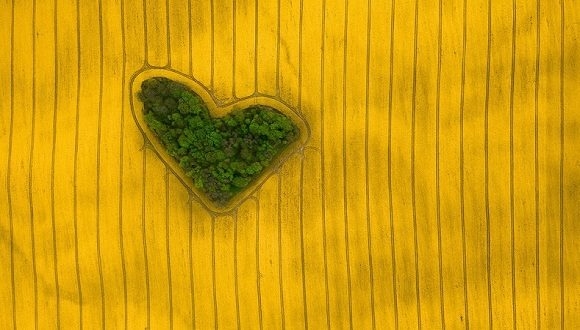 «La Isla del Amor» fue galardonada en la categoría de Naturaleza, la fotografía deja ver la majestuosidad y los misterios de la Madre Tierra en esta peculiar imagen aérea. Foto:Drone Award 2019