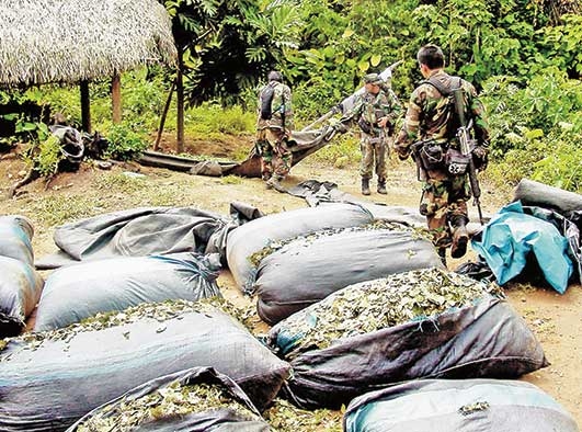 UN World Drug Report 2015 highlights Peru efforts News ANDIN Andina.pe