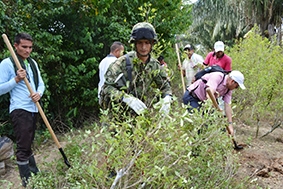 https://lavozdelcinaruco.com/18292-se-inicio-en-arauca-sustitucion-voluntaria-de-cultivos-ilicitos#.XsF20kJ1h5E