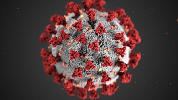 El SARS-CoV-2 es el séptimo coronavirus que se sabe que infecta a los seres humanos y ha causado una pandemia devastadora. Esta representación artística del coronavirus es de los Centros para el Control y la Prevención de Enfermedades (CDC), EE.UU. Foto: CDC.