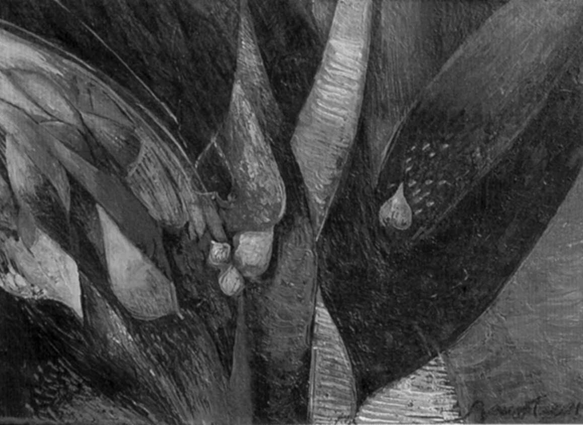 Rosenell Baud, detalle sin título (Cortesía de la autora)