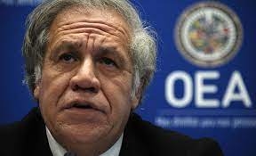 Luis Almagro, secretario general de la OEA.