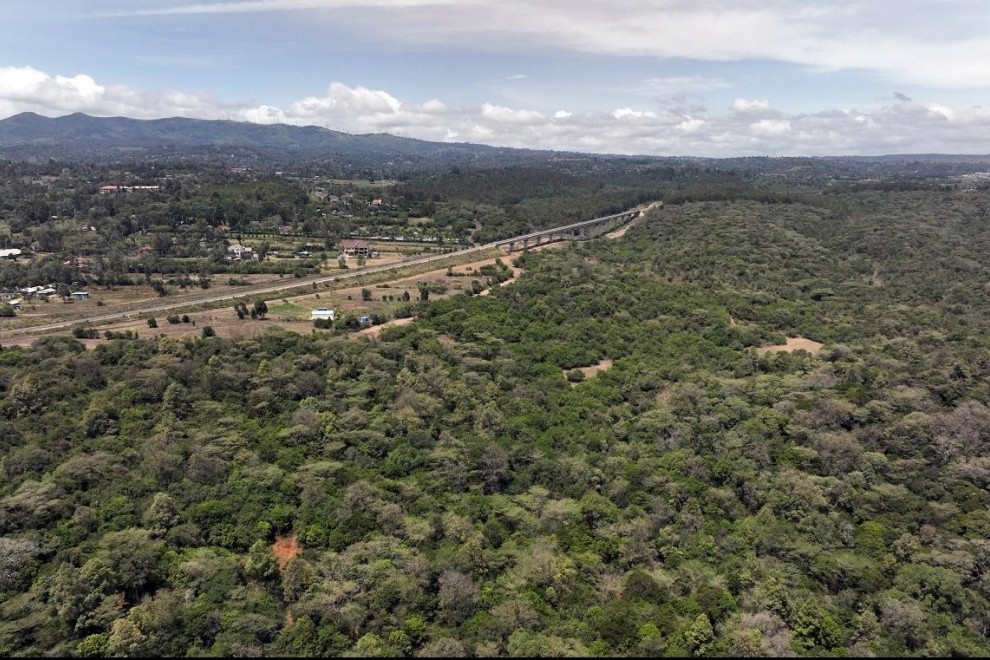 Una fotografía aérea tomada con un dron muestra el bosque de Oloolua, cerca de Nairobi (Kenya). — Baz Ratner / Reuters