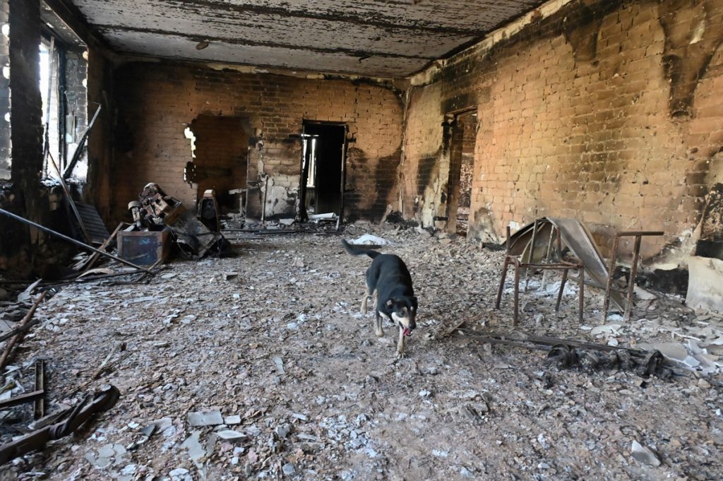 Un perro callejero camina en una escuela destruida en la aldea de Vilkhivka, cerca de Kharkiv, el 25 de mayo de 2022, en medio de la invasión rusa de Ucrania. SERGEY BOBOK / AFP