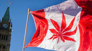 Canadá permite vender y producir cocaína a empresa de biociencia